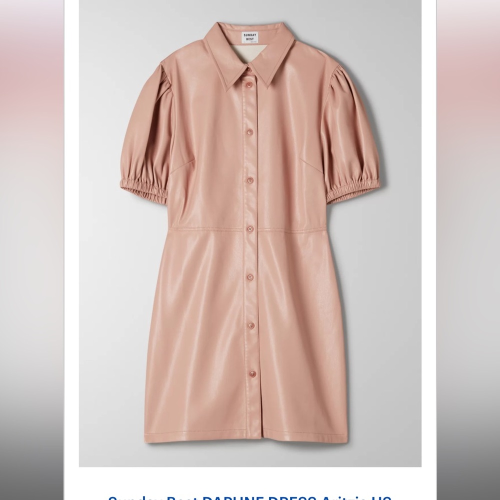 Aritzia Sunday Best Faux Leather Shirt Dress